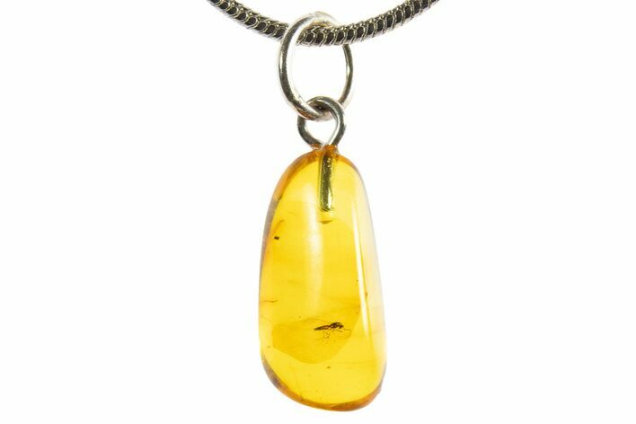 Polished Baltic Amber Pendant (Necklace) - Contains Fly! #339558